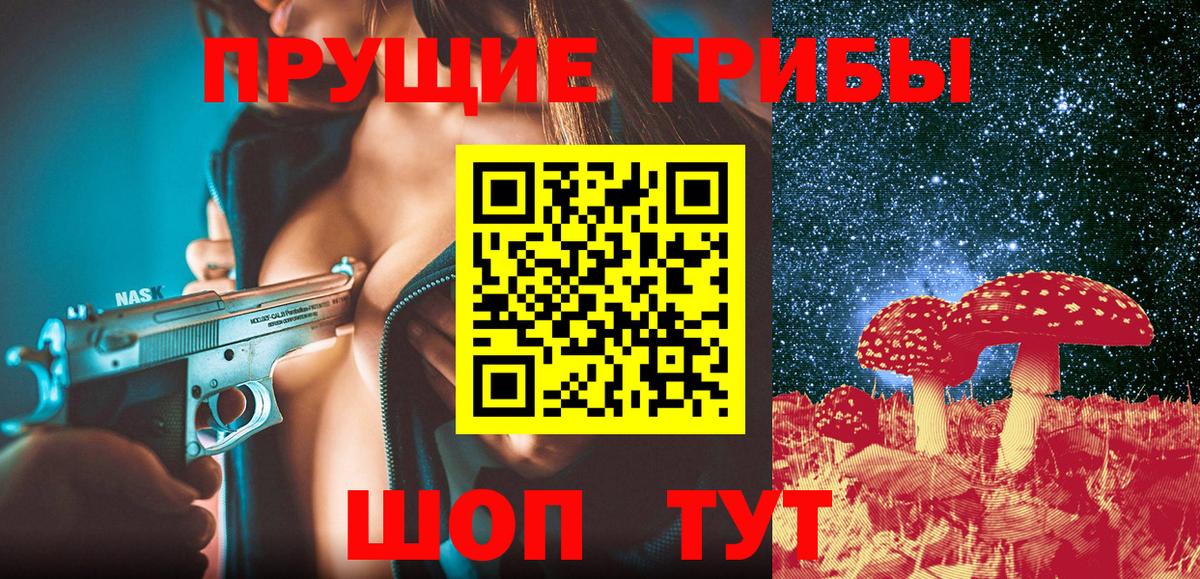 Галлюциногенные грибы Psilocybine cubensis Сибай